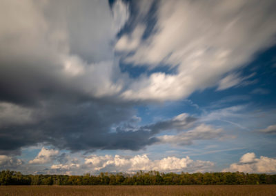 A photo of a farm field with cloudy sky.